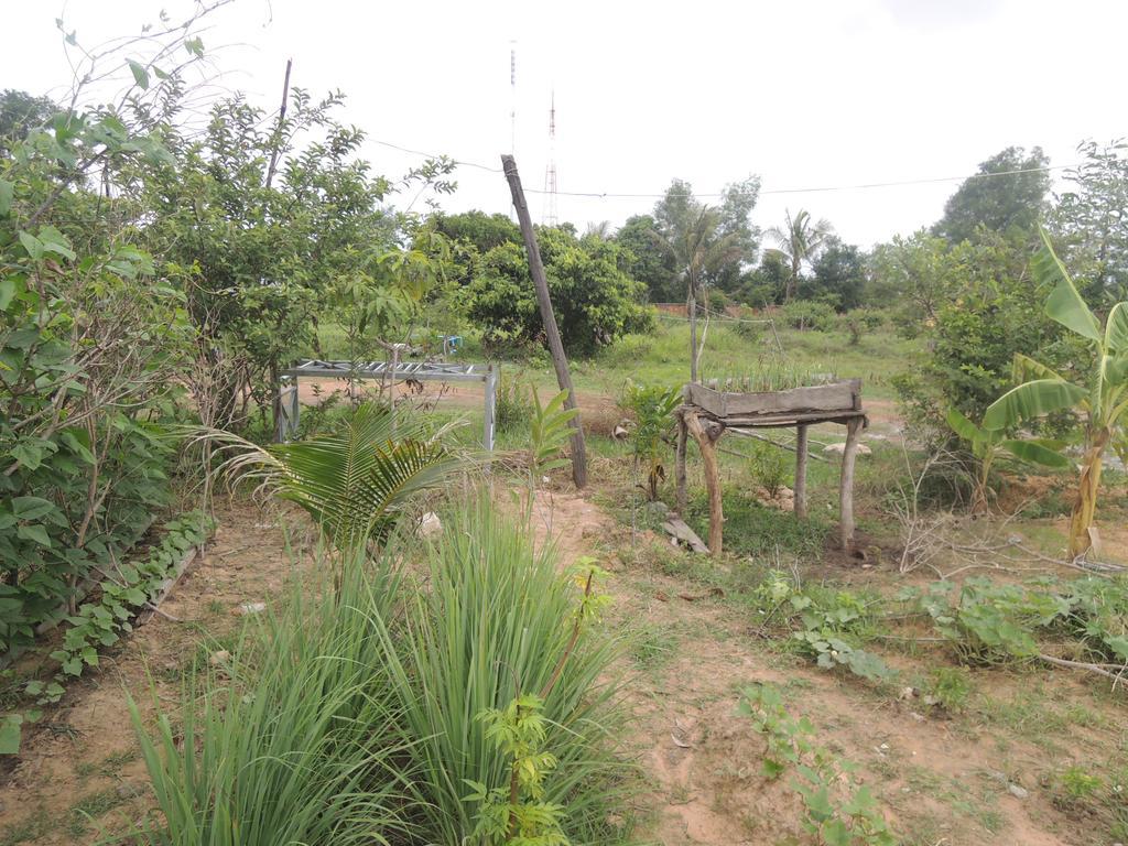 Bunyong Homestay سيام ريب المظهر الخارجي الصورة